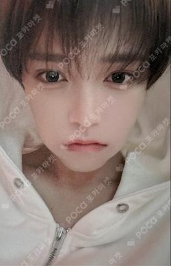 Is It Love? 2026 OFFLINE POP-UP STORE STICKER PACK JANG HANEUM photocard image