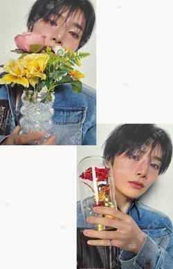 Stray Kids I.N photocard image
