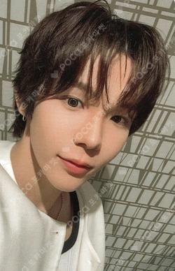 II SMini Ver. xiongbao