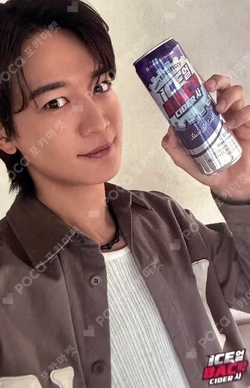 ICEBACCIDER