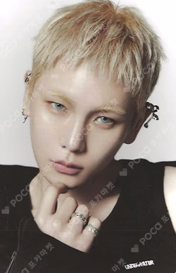 - The Trilogy I - 2026 SHINee WORLD VIII : [THE INVERT] RANDOM TRADING CARD SET
