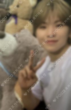 D-icon vol.12 SEVENTEEN MY CHOICE IS... SEVENTEEN SPECIAL EDITION