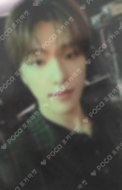 Little Wish Pajama Bottom DINO photocard image