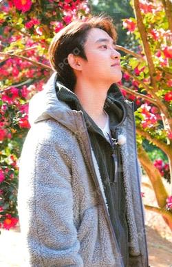 EXO'S TRAVEL THE WORLD ON A LADDER 5 TINCASE SET D.O. photocard image