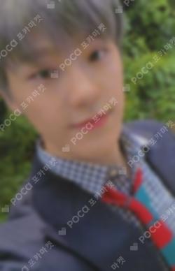 Seventeen DINO photocard image