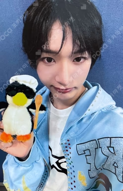 My First Kick Counting Stars Donghwa photocard image