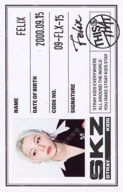 Stray Kids FELIX photocard image