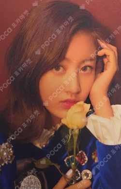 THE ROSES : 2019 SEASONS GREETINGS
