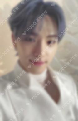 Seventeen DINO photocard image