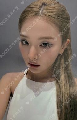 Velvet Summer STUDIO CHOOM GIFT