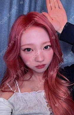 Lemon Tang INTERASIA Stella photocard image