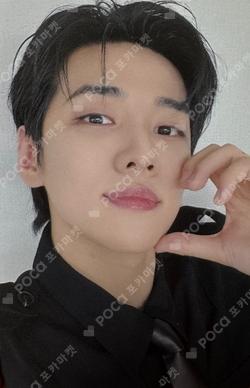 TASTY DEAR MY MUSE JaeChan photocard image