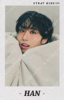 Stray Kids World Tour [RUN IT JAPAN] Photo card set