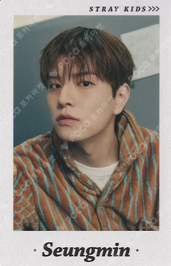 Stray Kids World Tour [RUN IT JAPAN] Photo card set