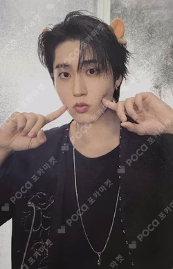 Stray Kids HAN photocard image