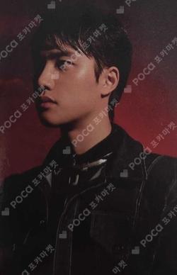 DON'T FIGHT THE FEELING Jewel Case Ver. D.O. photocard image