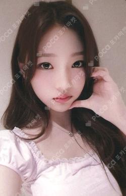The Chase KMS WINNER Stella photocard image