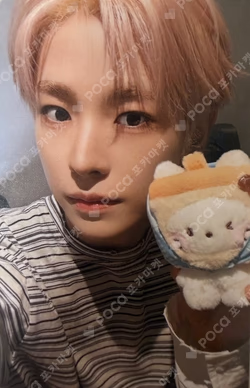NCT WISH wishnini house BIG HUG CUSHION