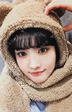 Teddy Bear WITHMUU 2