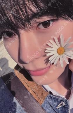 ZEROBASEONE SUNG HANBIN photocard image
