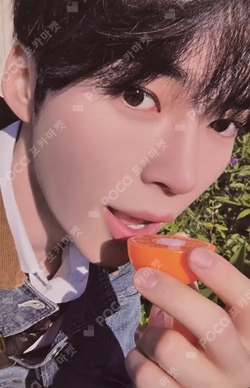 ZEROBASEONE SUNG HANBIN photocard image