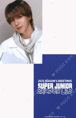 2025 SEASON'S GREETINGS YES24 YESUNG photocard image