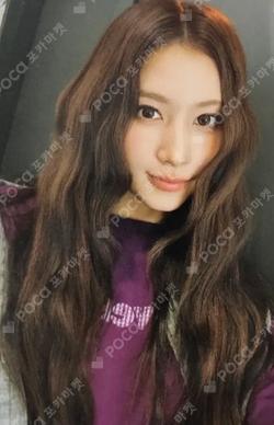 TWICE SANA photocard image