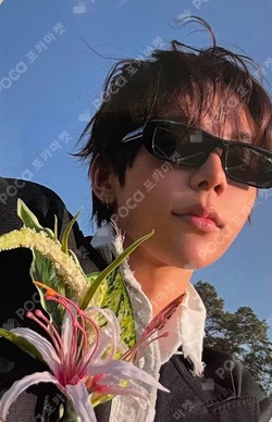 Sunburst Limited B Ver. SHOTARO photocard image