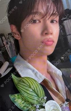 Sunburst Solo Ver. SUNGCHAN photocard image