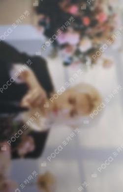 Seventeen JUN photocard image