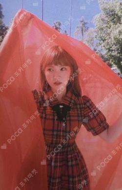 Red Velvet WENDY photocard image