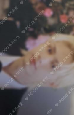 Seventeen JUN photocard image