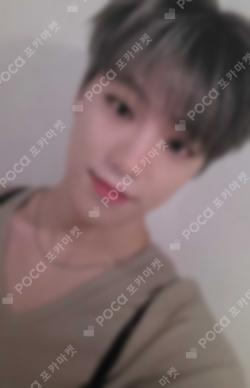 Seventeen DINO photocard image