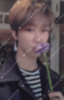 Seventeen THE 8 photocard image