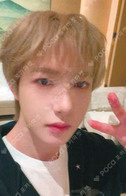 NCT RENJUN 的小卡圖片