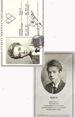 XOXO (KISS＆HUG) SEHUN photocard image