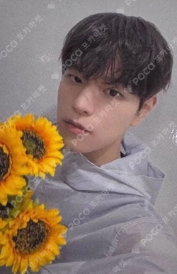 Stray Kids SEUNGMIN photocard image