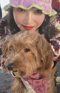 Red Velvet JOY photocard image
