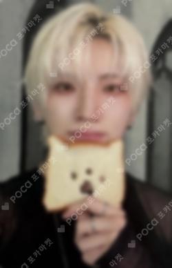 &TEAM YUMA photocard image