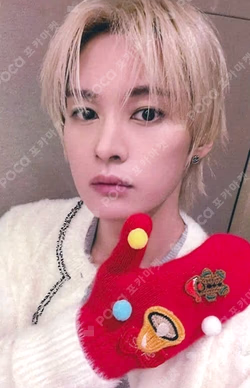 Stray Kids LEE KNOW photocard image