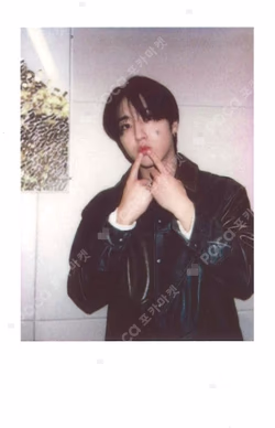 Stray Kids HAN photocard image