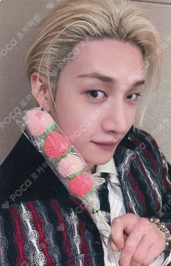 Stray Kids BANG CHAN photocard image