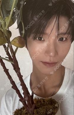 NCT JAEHEE photocard image