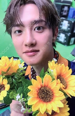 EXO D.O. 的小卡图片