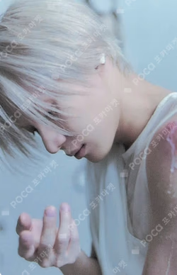 PHASE I : Soft Violence NEMO Ver.