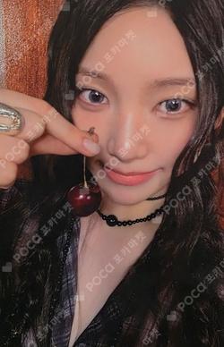 ALLDAY PROJECT YOUNGSEO photocard image