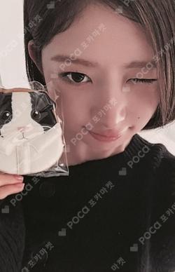 IVE REI 的小卡图片