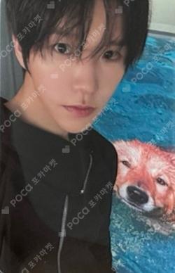 NCT JAEHEE photocard image