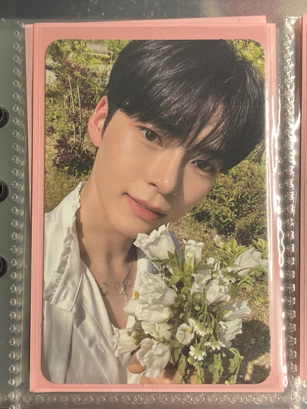 YOUTH IN THE SHADE  SHADE Ver.