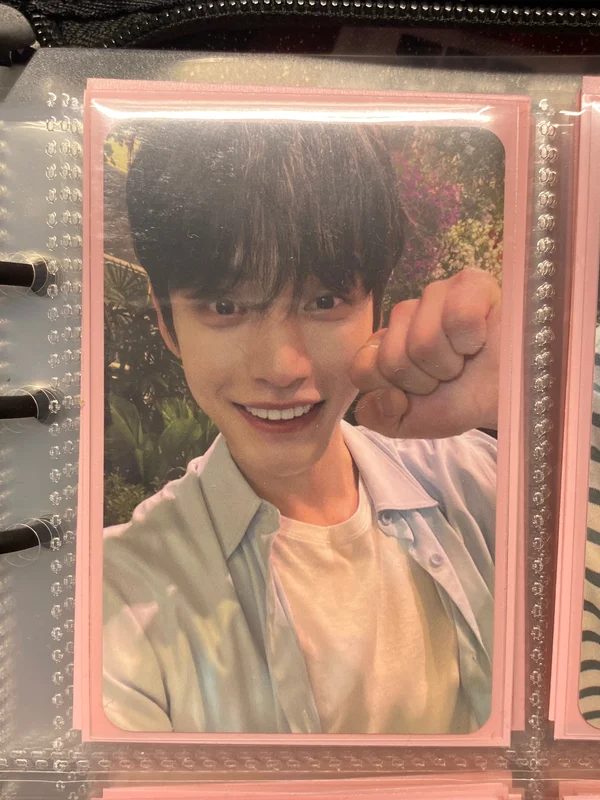 YOUTH IN THE SHADE  EVERLINE LUCKY DRAW